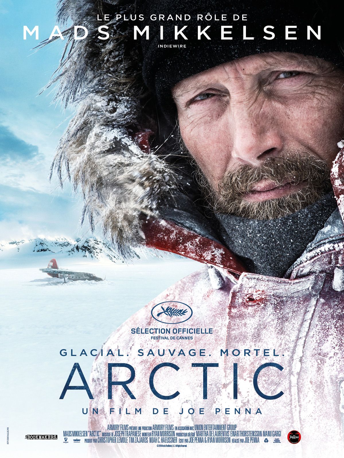 cartaz do Filme Ártico